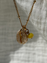 Charger l'image dans la galerie, Collier coquillage cauri