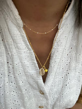 Charger l'image dans la galerie, Collier coquillage cauri